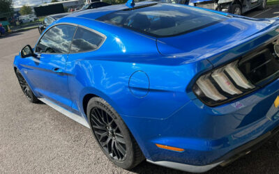 Blue Mustang Monday